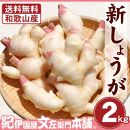 フレッシュ新しょうが２kg詰め 和歌山県産 新生姜 新鮮 産地直送 自家製 甘酢漬け、紅ショウガ、生姜湯、砂糖漬けに【クール冷蔵便】紀伊国屋文左衛門本舗
