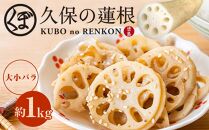 大小バラ 蓮根 約1kg れんこん