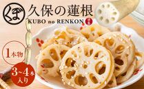 蓮根 1本物 3～4本入り れんこん