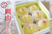 桃 2025年 先行予約 贈答用 岡山 清水 白桃  約2kg（5～7玉） もも モモ 岡山県 岡山市産 国産 フルーツ 果物 ギフト