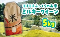米 ミルキークイーン 令和6年産 鳥取県産 5kg