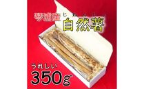 【先行予約】自然薯 350g 鳥取県琴浦町産 【12月上旬発送開始】