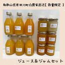 【お中元】数量限定！店主にお任せ 農家直送の無添加の柑橘ジュース＆ジャムセット 【2025年7月1日～8月5日ごろ順次発送】