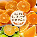 ［家庭用 訳あり］わかやま旬のカンキツ定期便[S] 全４回 3・5・9・11月発送［MS119］