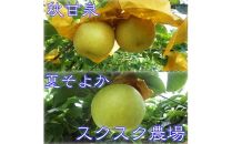 秋甘泉・夏そよかセット 秀品 2.5kg箱【スクスク農場】