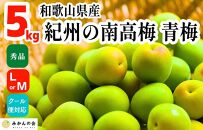 【2025年6月上旬出荷】青梅 南高梅 5kg 秀品  LまたはMサイズ 和歌山県産 A品 梅酒作り用 梅ジュース作り用