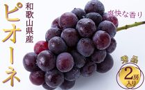 ◆先行予約◆和歌山県産 ピオーネ 2房入り〈秀品〉［2025年8月下旬以降出荷］［MG26］